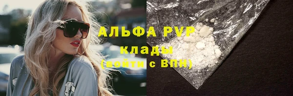 СК Абинск