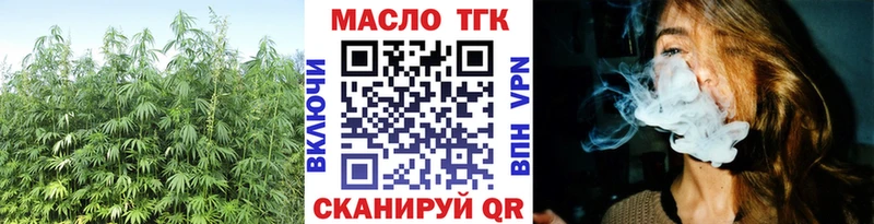 Дистиллят ТГК гашишное масло  МЕГА зеркало  Чегем  купить закладку 
