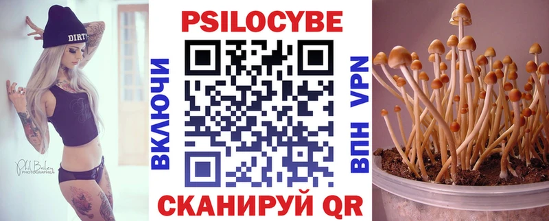 Галлюциногенные грибы мицелий  Чегем 